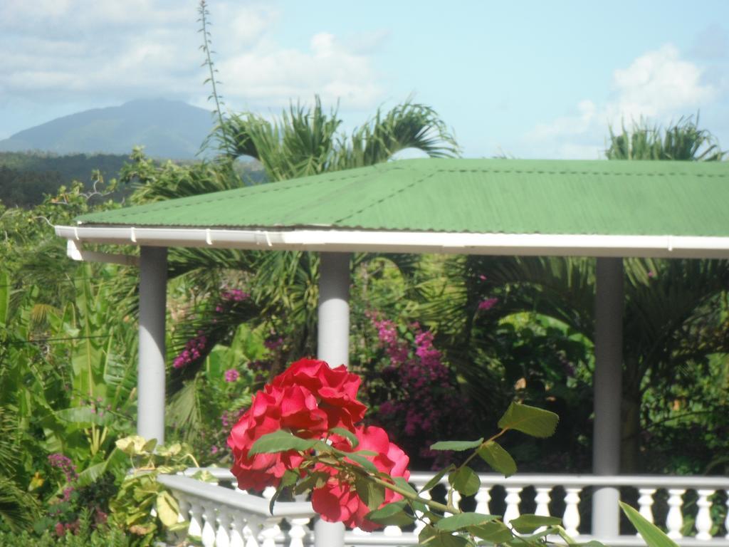 Classique International In Dominica Marigot Zimmer foto