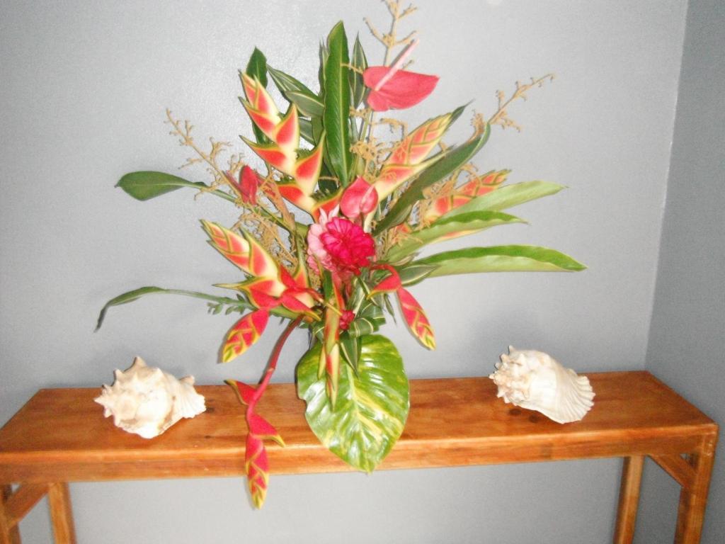 Classique International In Dominica Marigot Zimmer foto